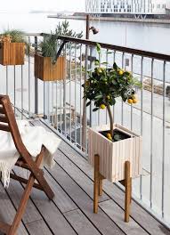 balkon planten