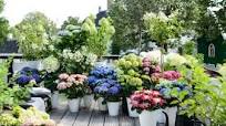 planten balkon