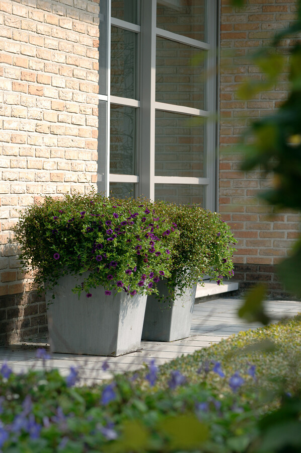 plantenbakken terras