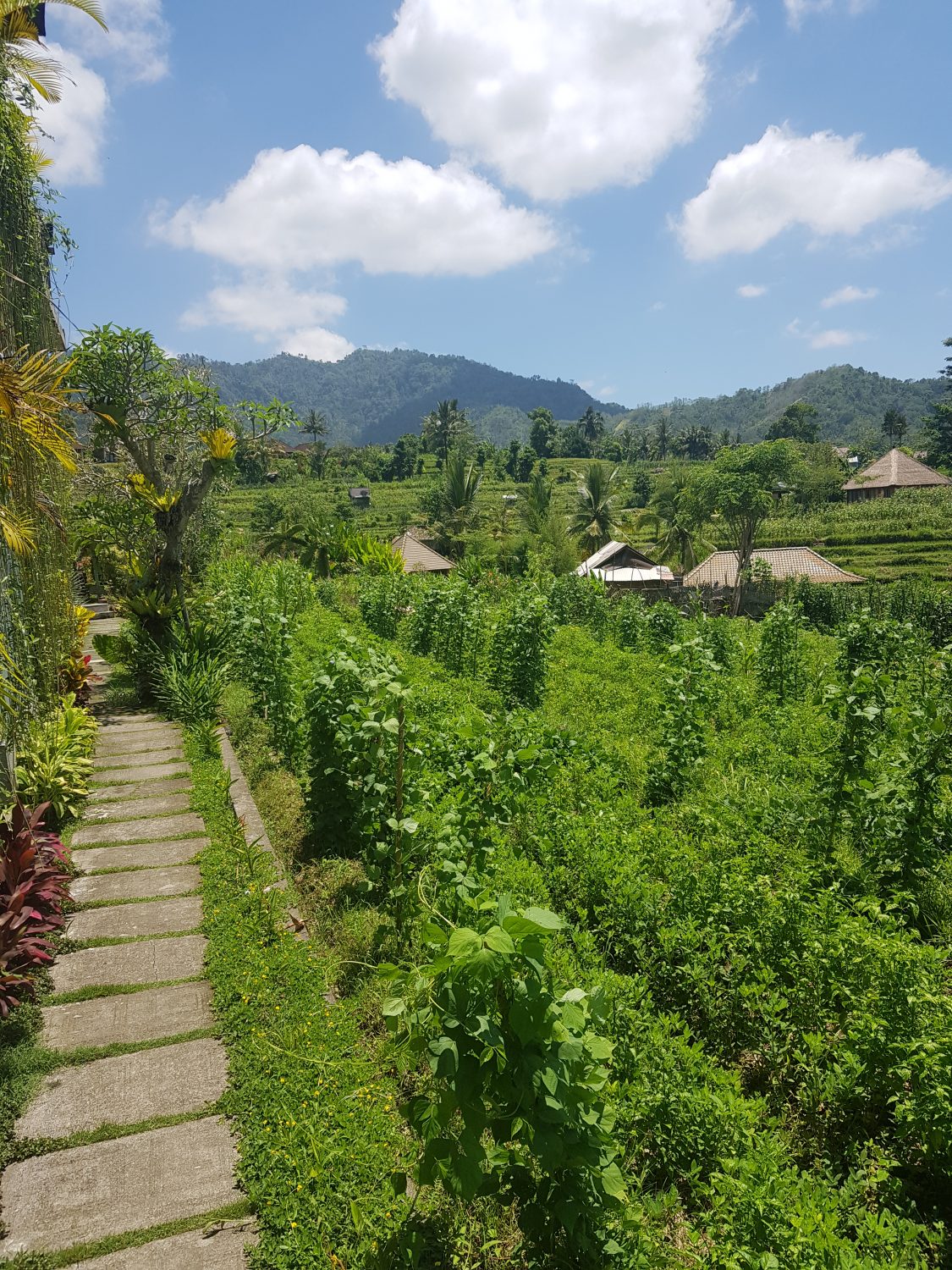 goedkoop overnachten bij particulieren